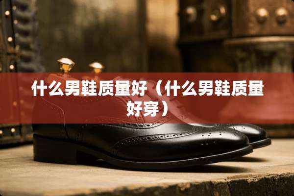 什么男鞋质量好（什么男鞋质量好穿）