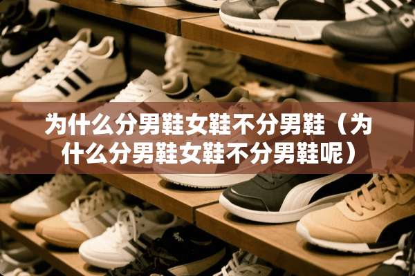 为什么分男鞋女鞋不分男鞋（为什么分男鞋女鞋不分男鞋呢）