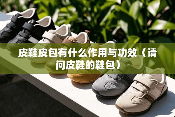 皮鞋皮包有什么作用与功效（请问皮鞋的鞋包）
