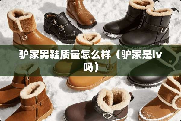 驴家男鞋质量怎么样（驴家是lv吗）