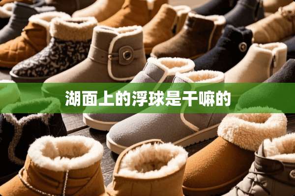 湖面上的浮球是干嘛的