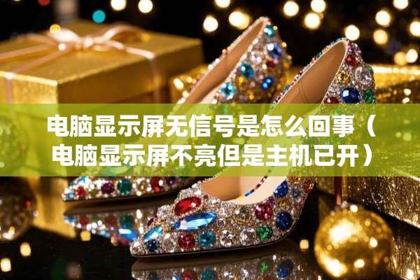 电脑显示屏无信号是怎么回事（电脑显示屏不亮但是主机已开）