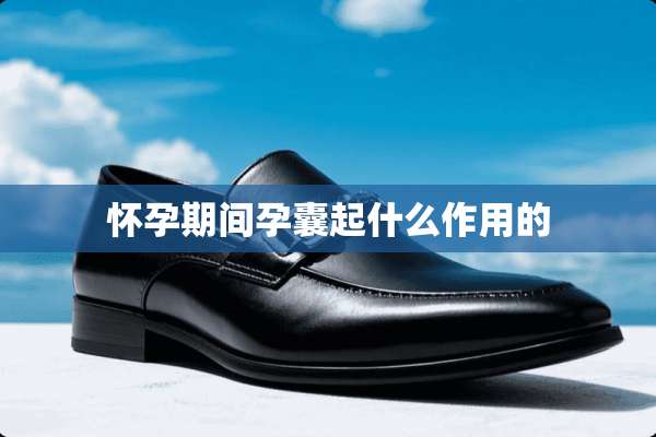 怀孕期间孕囊起什么作用的