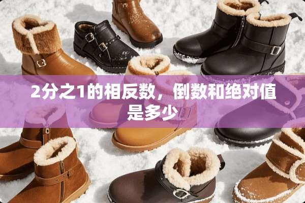 2分之1的相反数，倒数和绝对值是多少