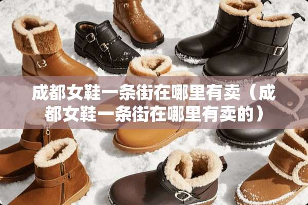 成都女鞋一条街在哪里有卖（成都女鞋一条街在哪里有卖的）
