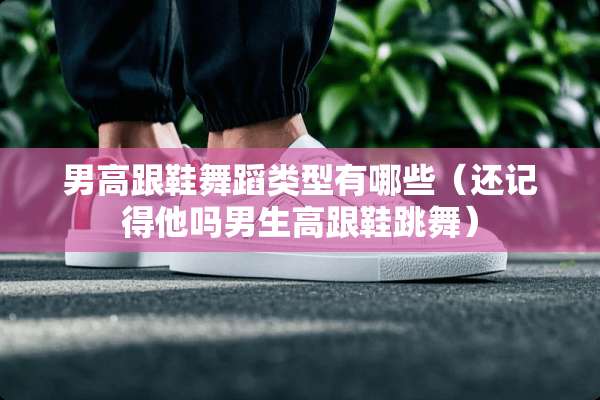 男高跟鞋舞蹈类型有哪些（还记得他吗男生高跟鞋跳舞）