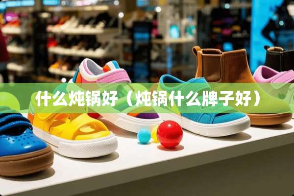 什么炖锅好（炖锅什么牌子好）