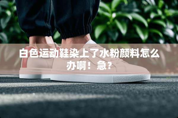 白色运动鞋染上了水粉颜料怎么办啊！急？