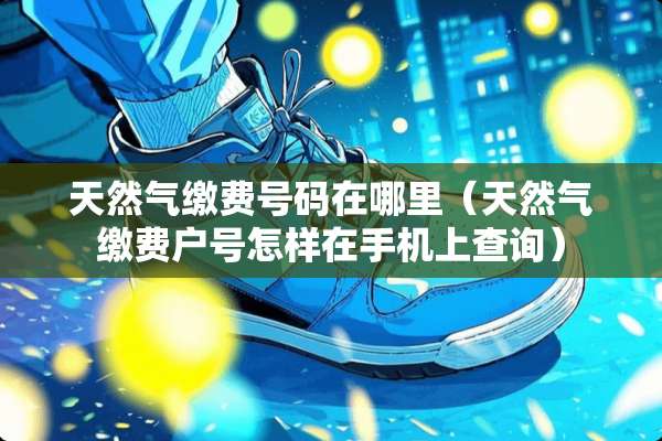 天然气缴费号码在哪里（天然气缴费户号怎样在手机上查询）