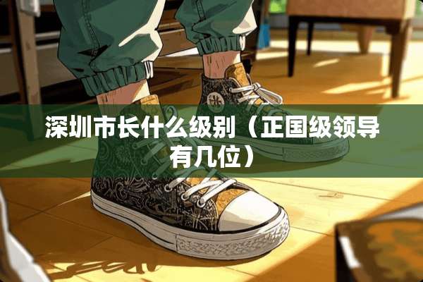 深圳市长什么级别（正国级领导有几位）