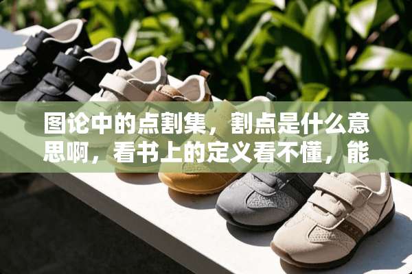 图论中的点割集，割点是什么意思啊，看书上的定义看不懂，能不能通俗的讲解一下