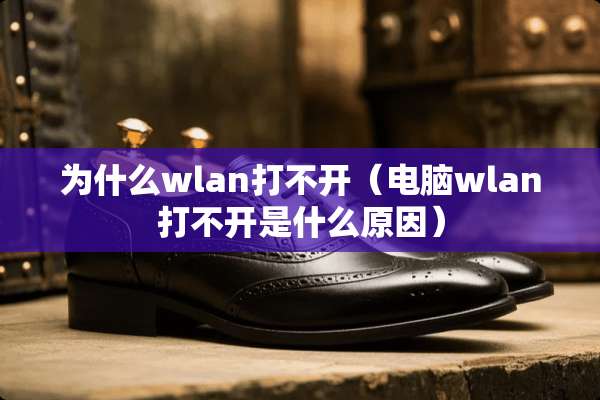 为什么wlan打不开（电脑wlan打不开是什么原因）