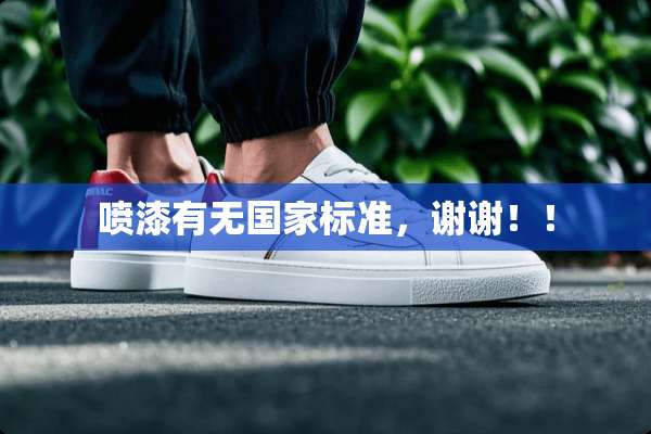 喷漆有无国家标准，谢谢！！