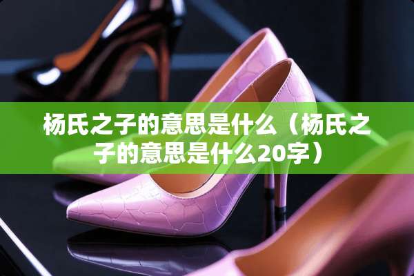 杨氏之子的意思是什么（杨氏之子的意思是什么20字）