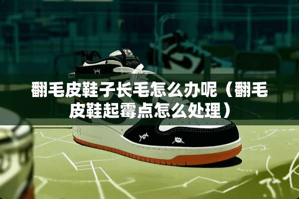 翻毛皮鞋子长毛怎么办呢（翻毛皮鞋起霉点怎么处理）