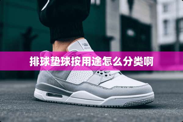 排球垫球按用途怎么分类啊