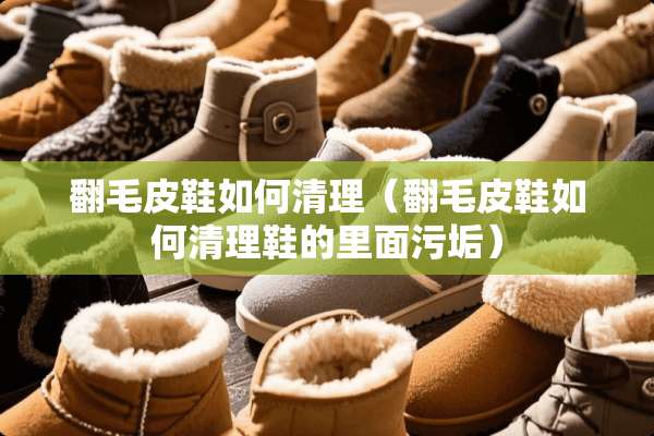 翻毛皮鞋如何清理（翻毛皮鞋如何清理鞋的里面污垢）