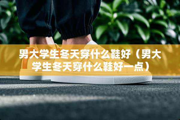男大学生冬天穿什么鞋好（男大学生冬天穿什么鞋好一点）