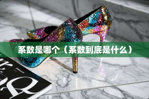 系数是哪个（系数到底是什么）
