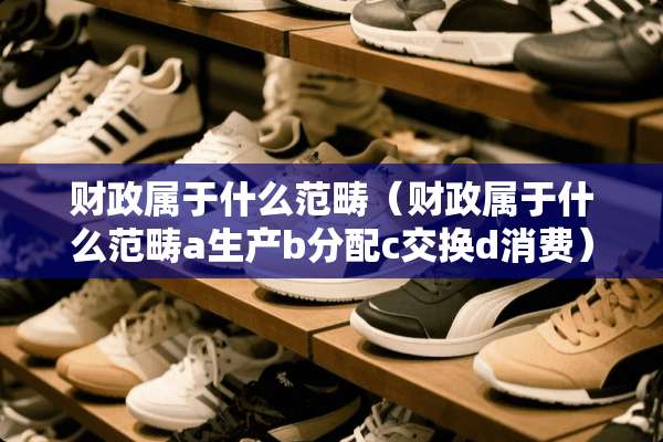 财政属于什么范畴（财政属于什么范畴a生产b分配c交换d消费）
