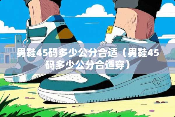 男鞋45码多少公分合适（男鞋45码多少公分合适穿）