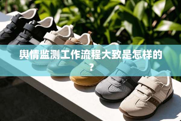舆情监测工作流程大致是怎样的？
