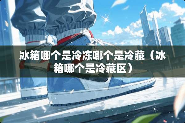 冰箱哪个是冷冻哪个是冷藏（冰箱哪个是冷藏区）
