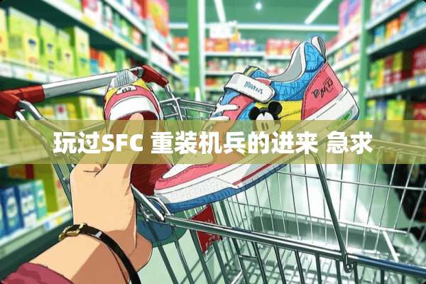玩过SFC 重装机兵的进来 急求