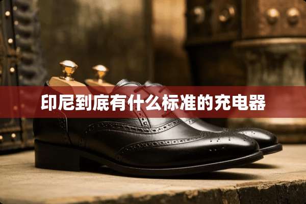 印尼到底有什么标准的充电器