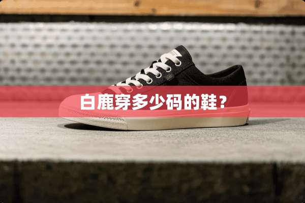 白鹿穿多少码的鞋？