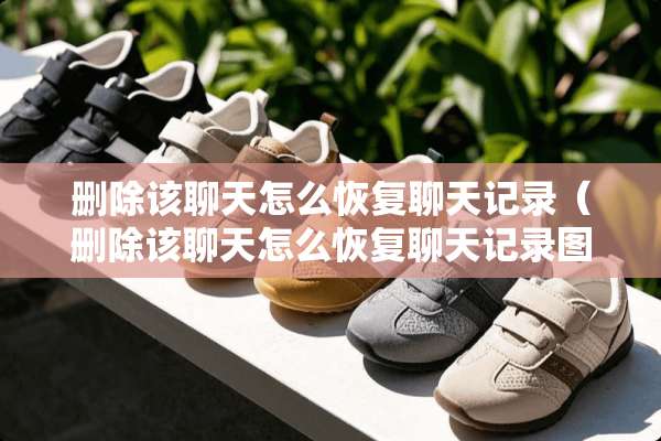 删除该聊天怎么恢复聊天记录（删除该聊天怎么恢复聊天记录图片）