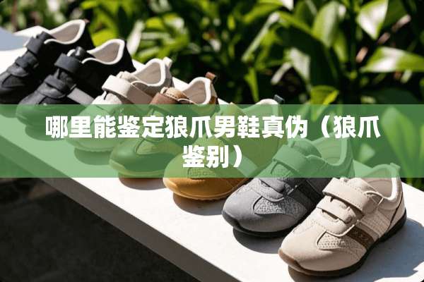 哪里能鉴定狼爪男鞋真伪（狼爪鉴别）