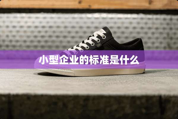 小型企业的标准是什么