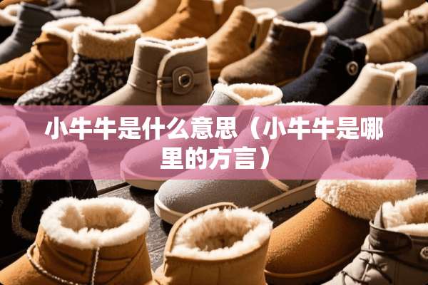 小**是什么意思（小**是哪里的方言）