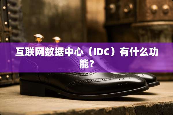 互联网数据中心（IDC）有什么功能？