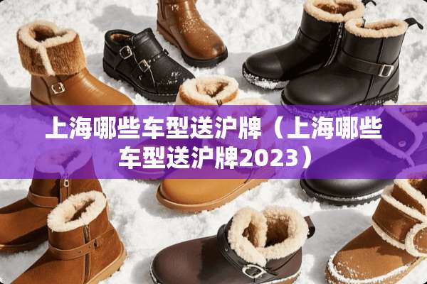 上海哪些车型送沪牌（上海哪些车型送沪牌2023）