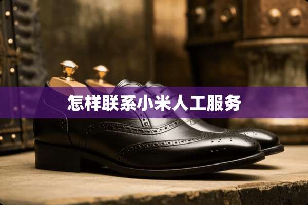 怎样联系小米人工服务