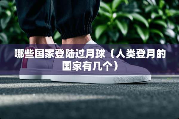 哪些国家**过月球（人类登月的国家有几个）