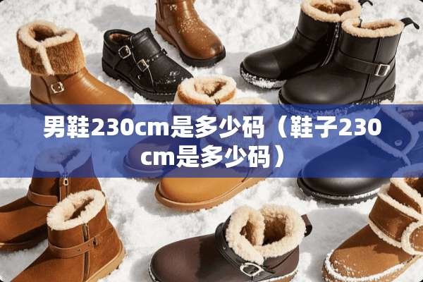 男鞋230cm是多少码（鞋子230cm是多少码）
