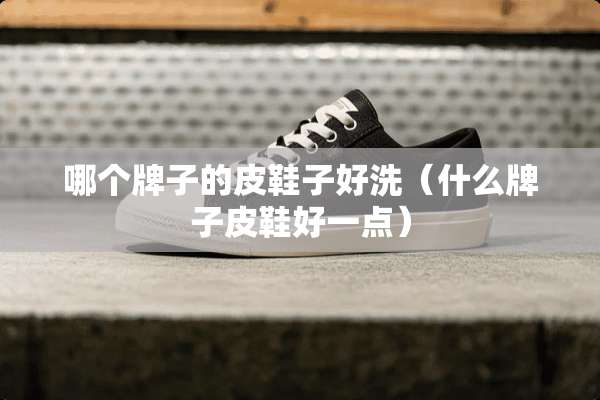 哪个牌子的皮鞋子好洗（什么牌子皮鞋好一点）