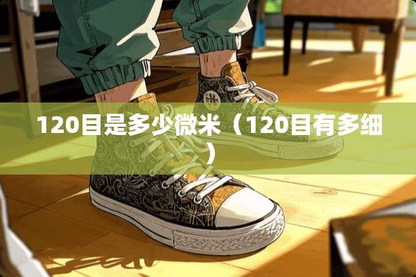 120目是多少微米（120目有多细）