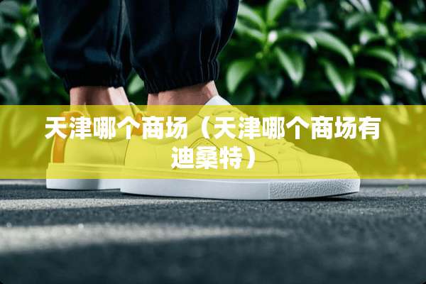 天津哪个商场（天津哪个商场有迪桑特）
