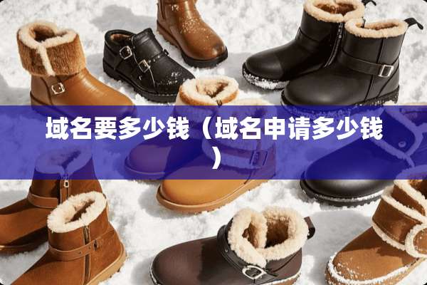 域名要多少钱（域名申请多少钱）