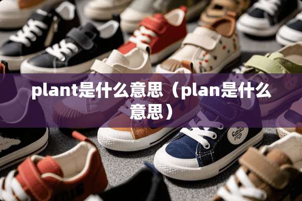 plant是什么意思（plan是什么意思）