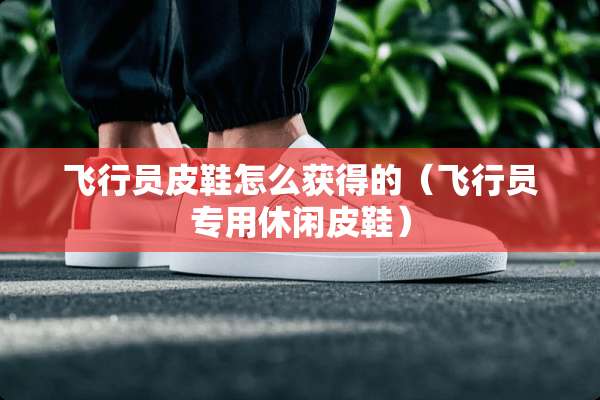 飞行员皮鞋怎么获得的（飞行员专用休闲皮鞋）