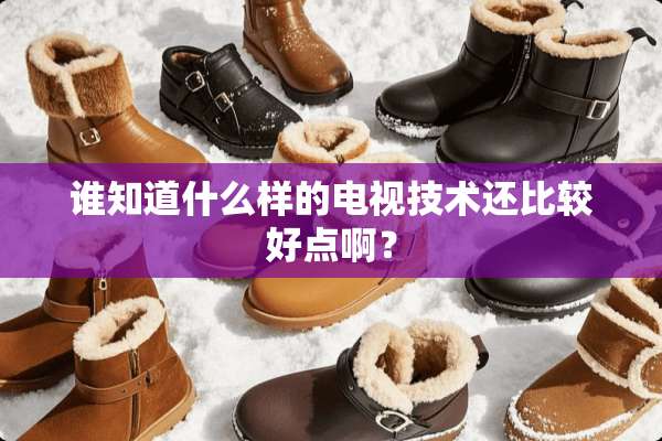 谁知道什么样的电视技术还比较好点啊？