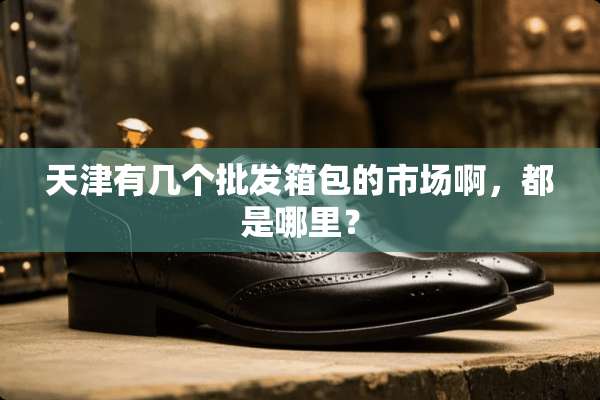 天津有几个批发箱包的市场啊，都是哪里？