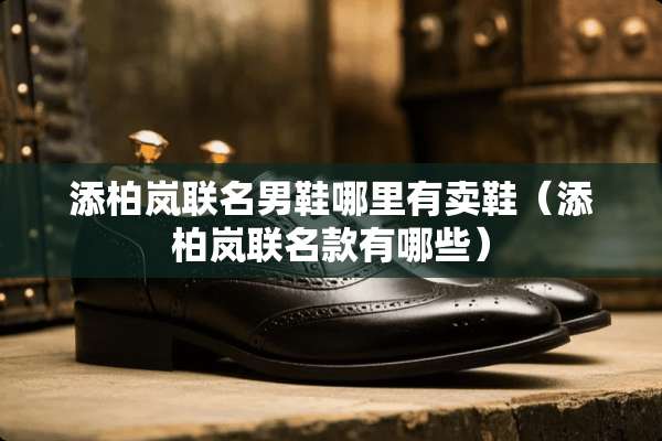 添柏岚联名男鞋哪里有卖鞋（添柏岚联名款有哪些）