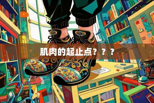肌肉的起止点？？？