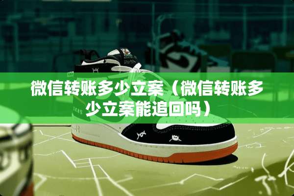 微信转账多少立案（微信转账多少立案能追回吗）